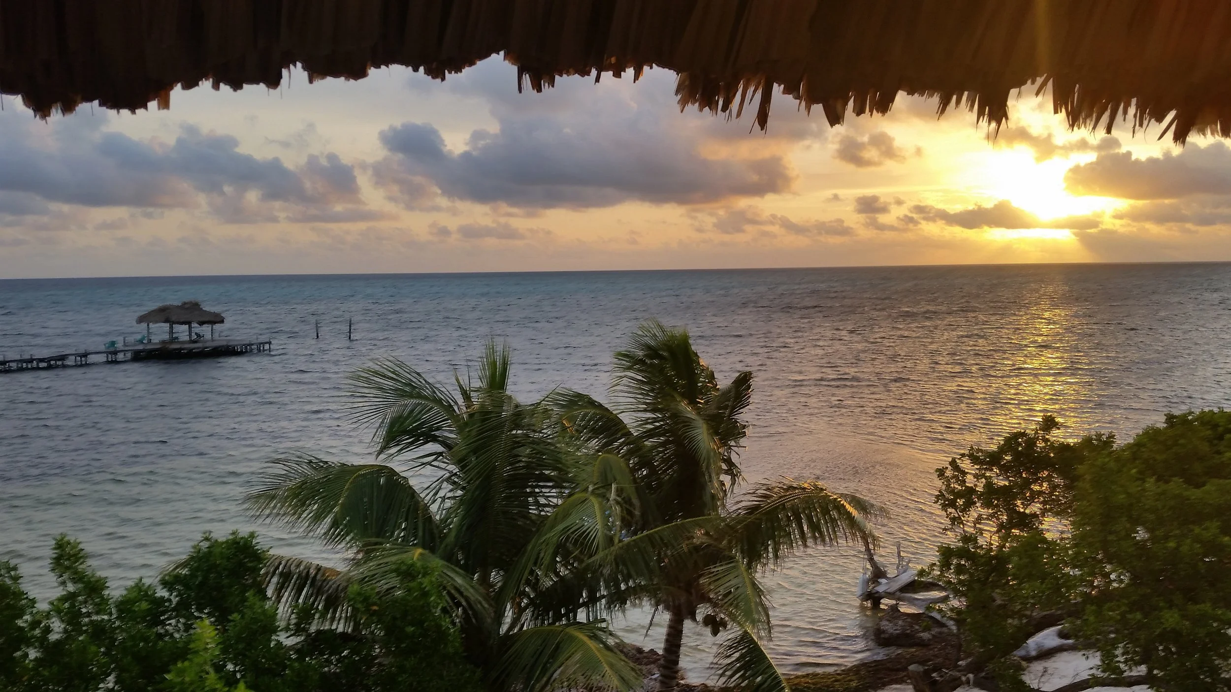 20180501_053738.jpg