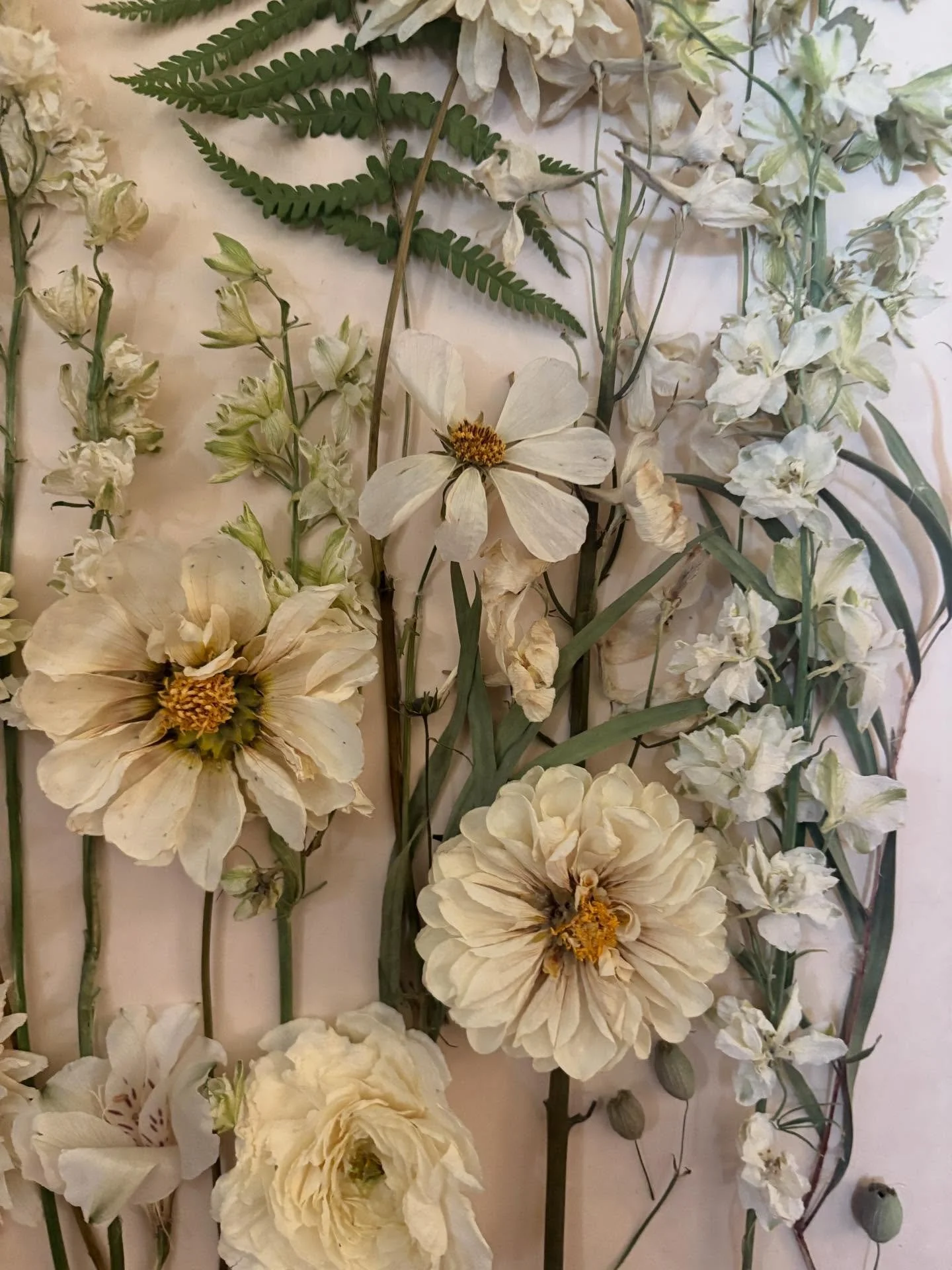 I did a thing. I tried my hand at drying and framing a clients bridal bouquet and I think it came out pretty good! We were not able to locate someone close by that had the time and availability, so I gave it a whirl. It was a fun little project and g