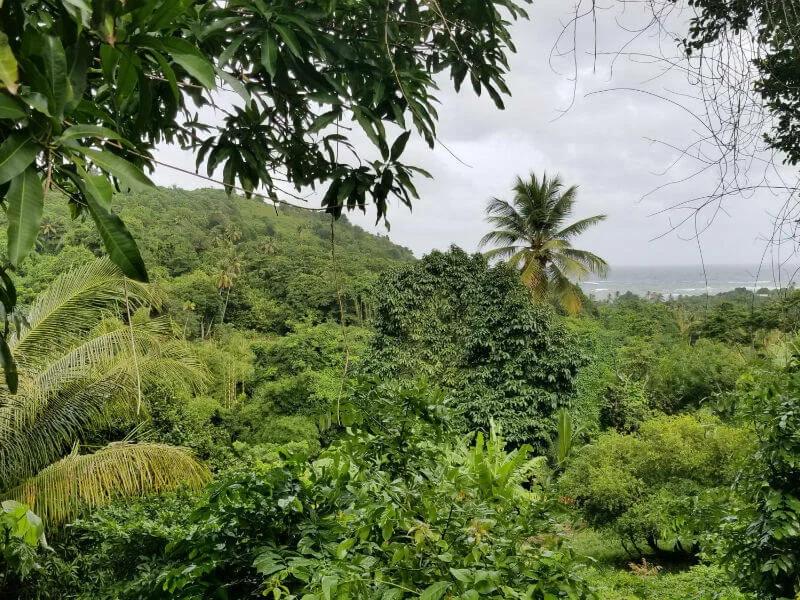 10 Day Southeast Caribbean Adventure