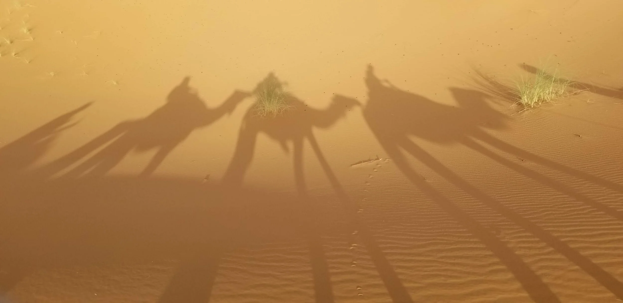 10 Day Morocco Adventure