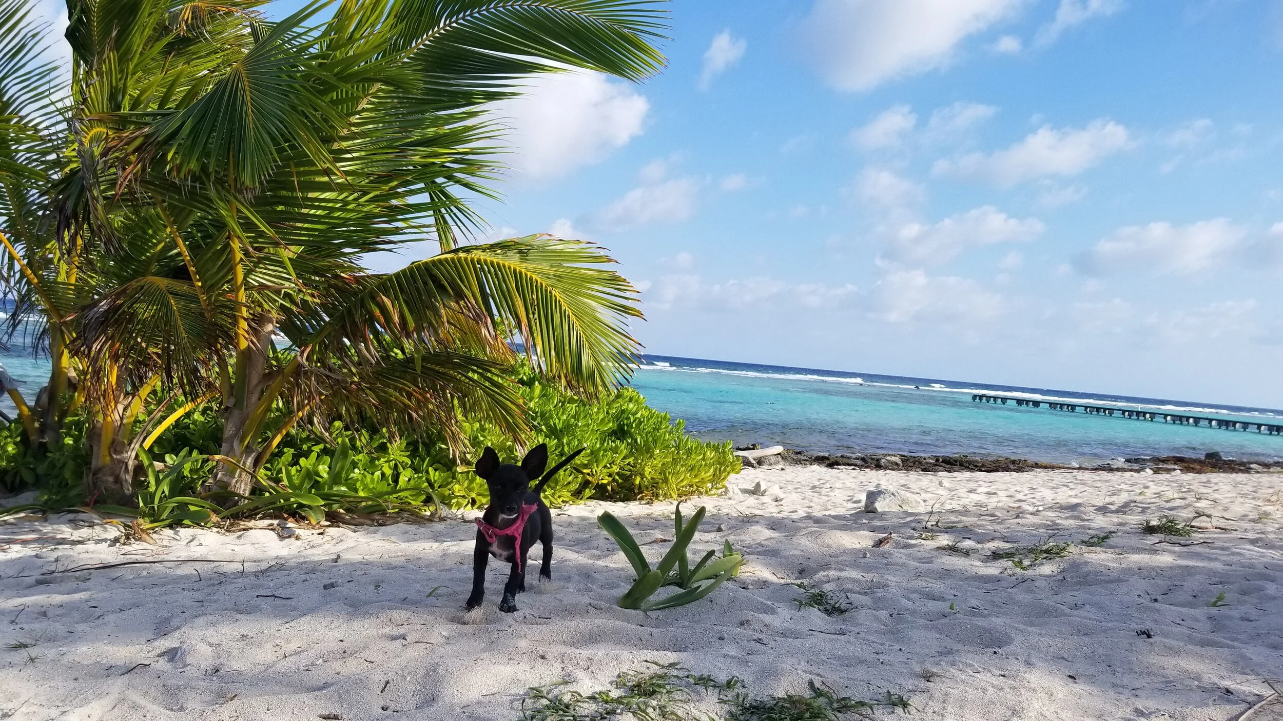 7 Day Yucatan Adventure