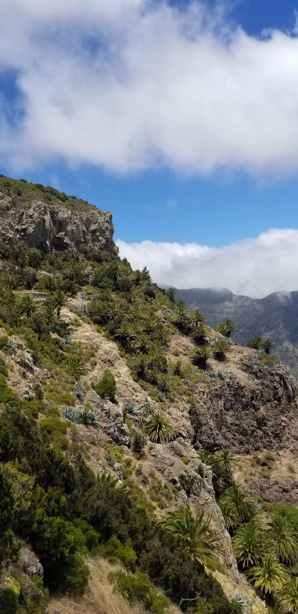 20190719_134727.jpg