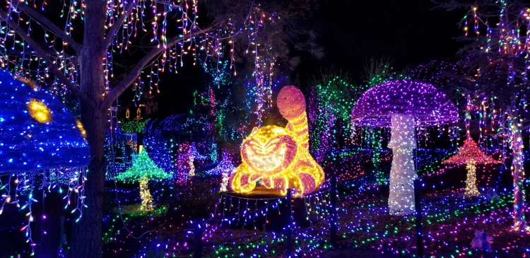 Cambria Christmas 2022 Visiting The Cambria Christmas Market? 3 Things You Need To Know Before You  Go — Adventurers