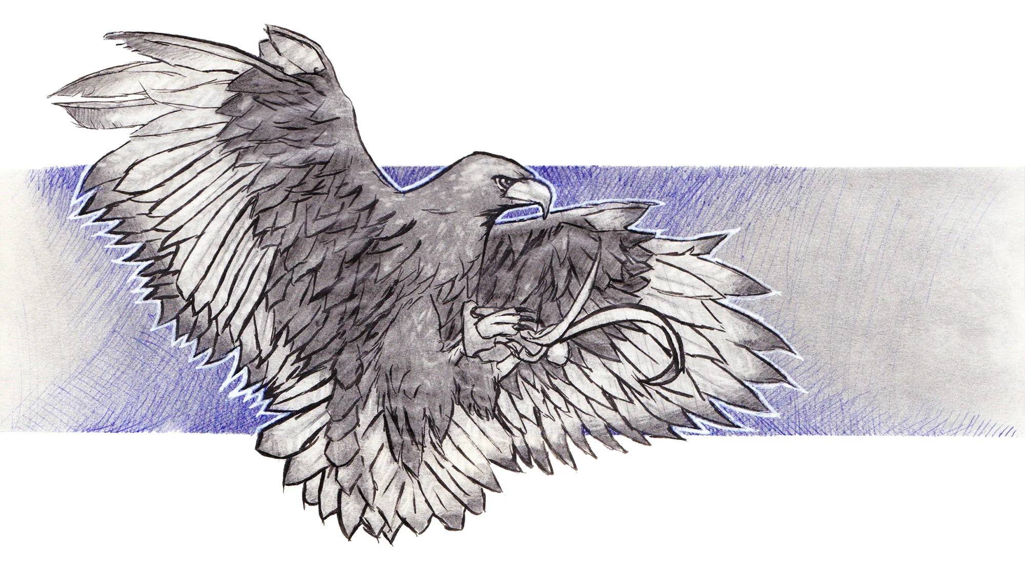 blog-post-bird1.jpg