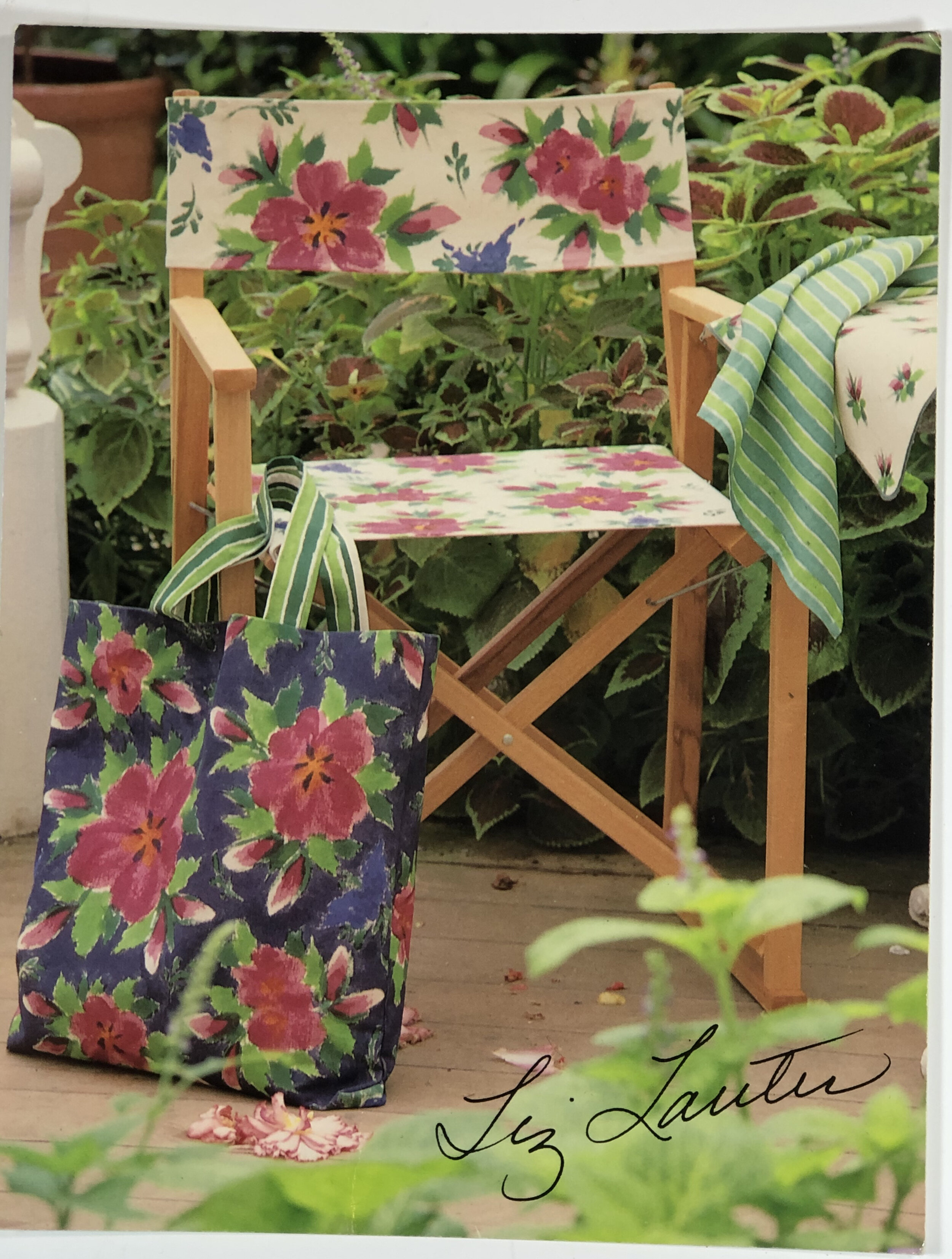 Hibiscus Postcard scene in greenhouse.jpg