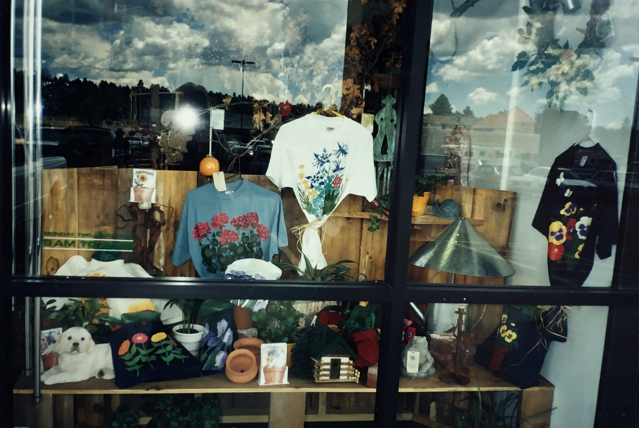Store window of LLD products.jpg