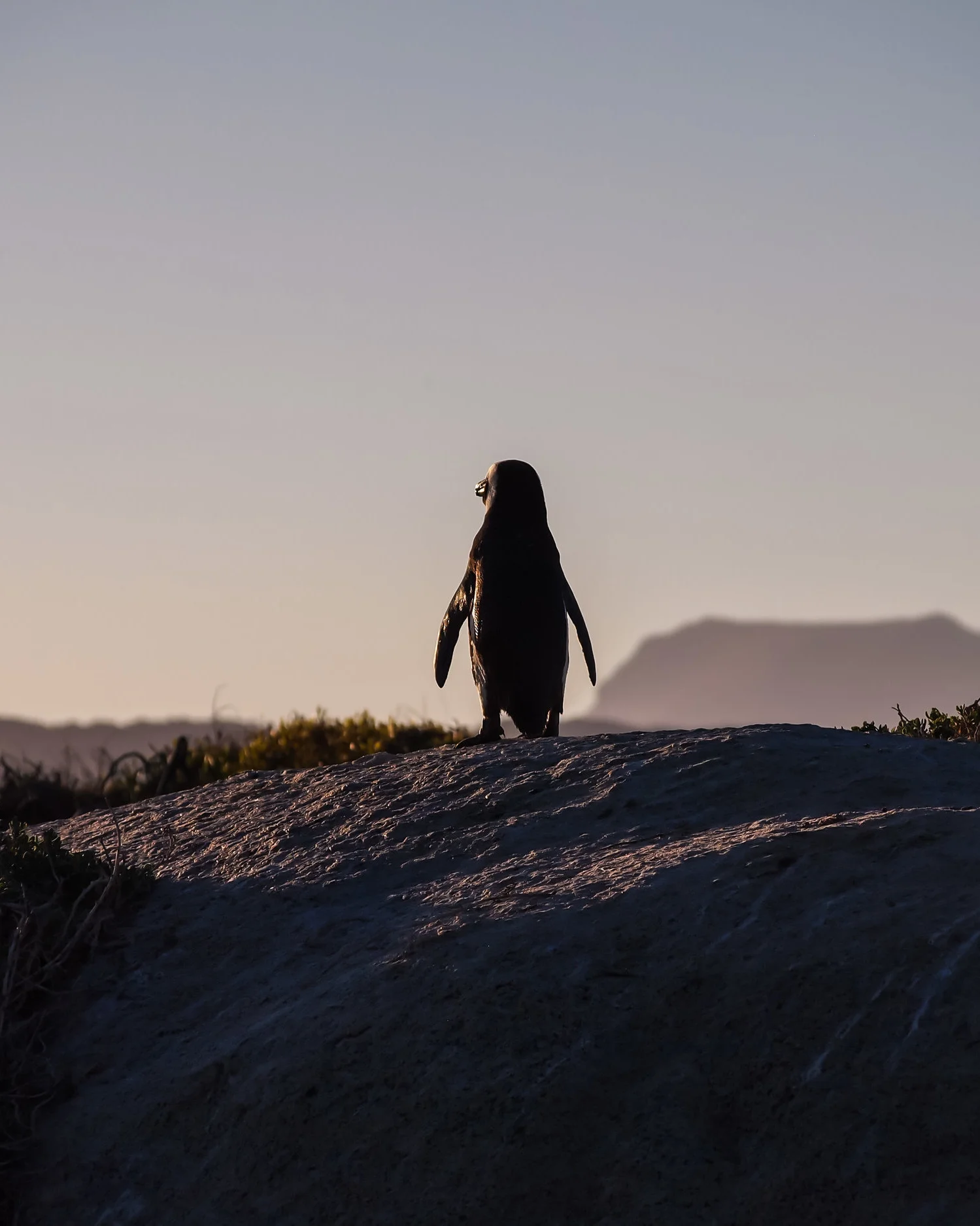 2 Podcasts on Loneliness