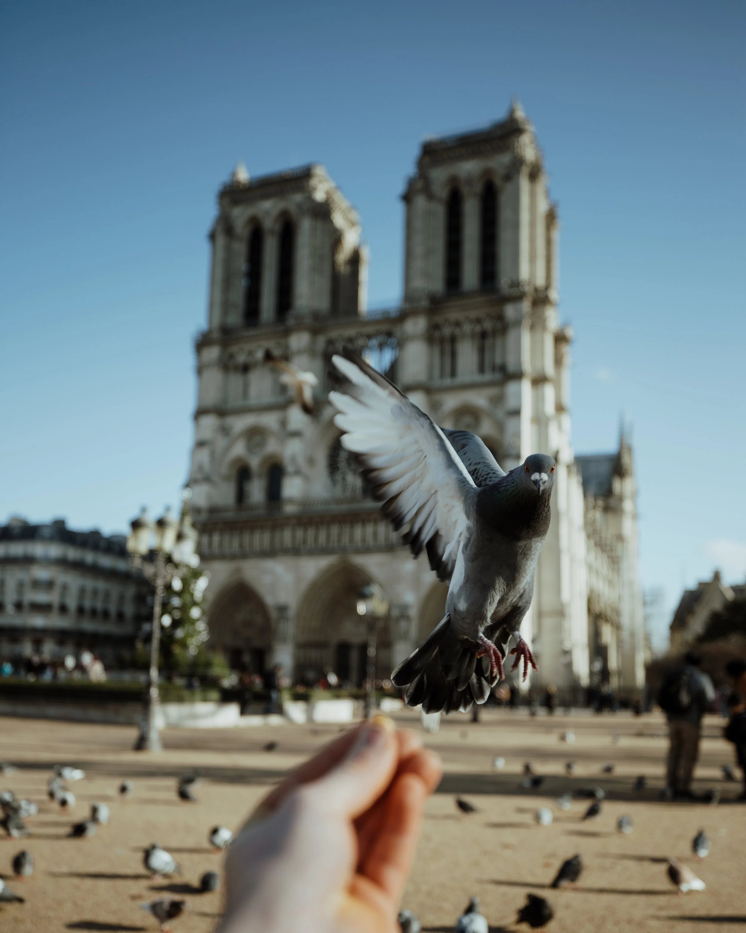 Photo by Gregory Hayes on Unsplash