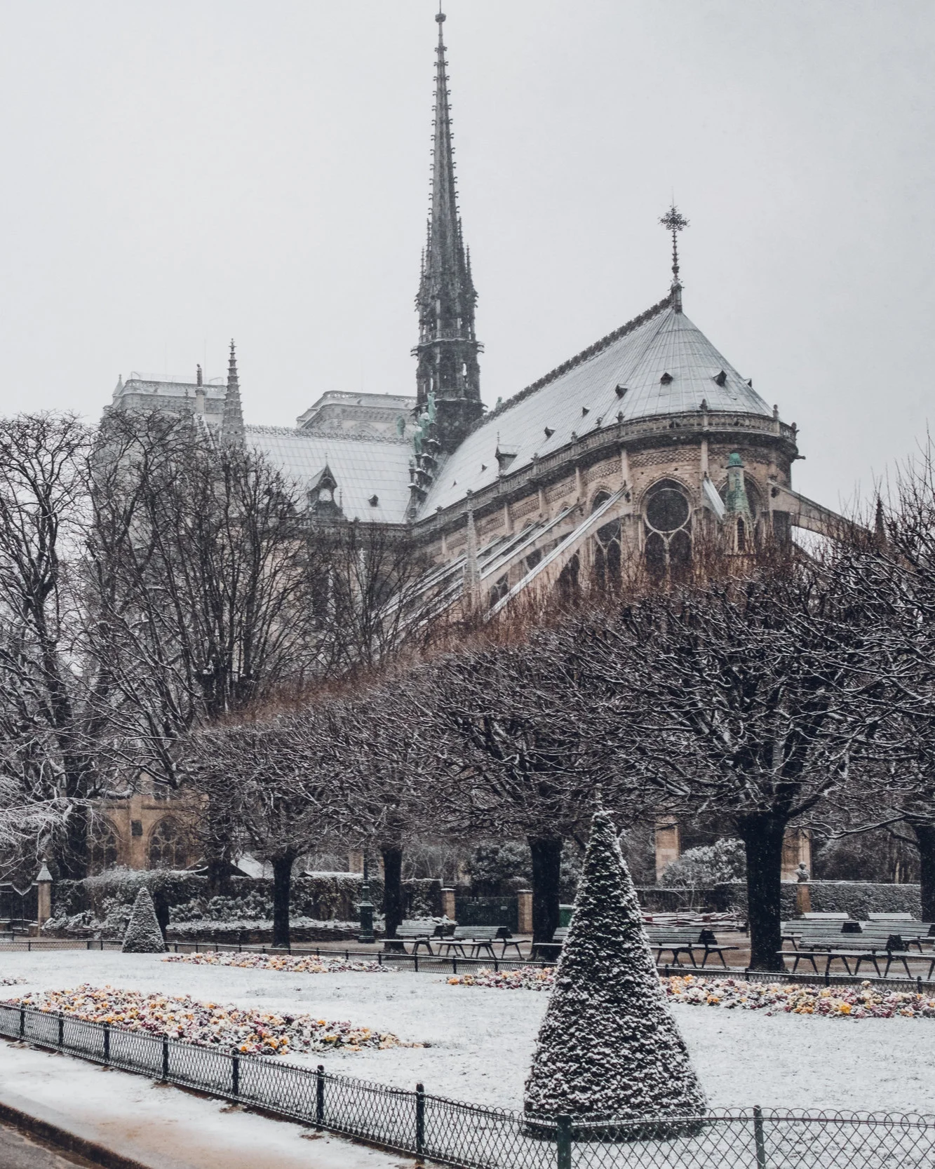 The Trauma of Losing Notre Dame