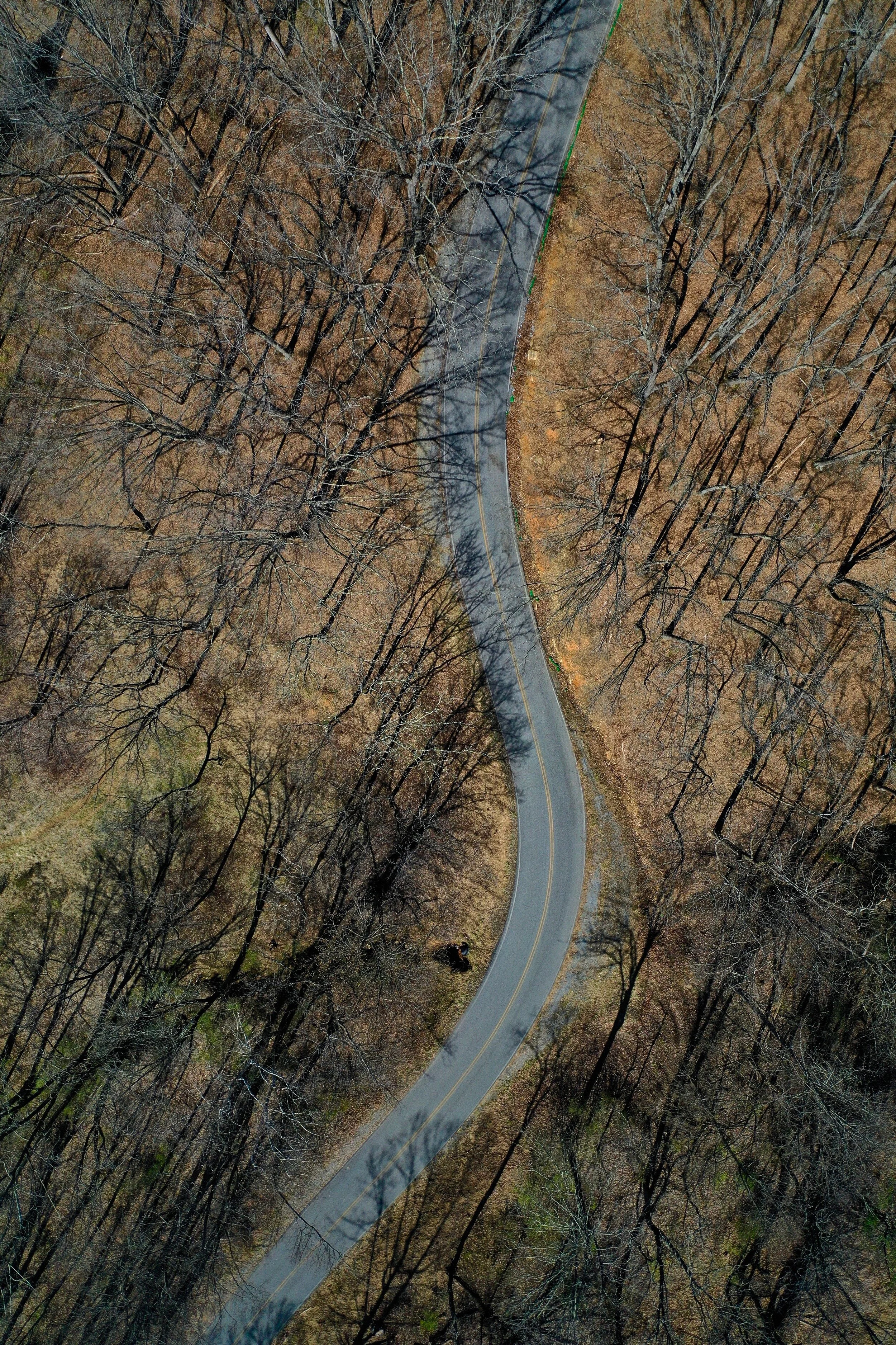 Photo by Mitchell Kmetz on Unsplash
