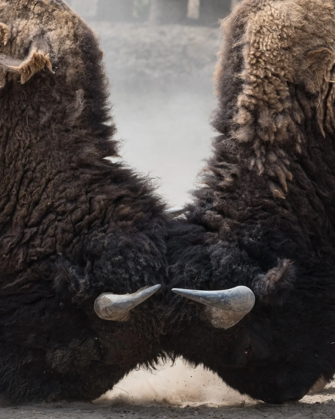 War Without End, Amen