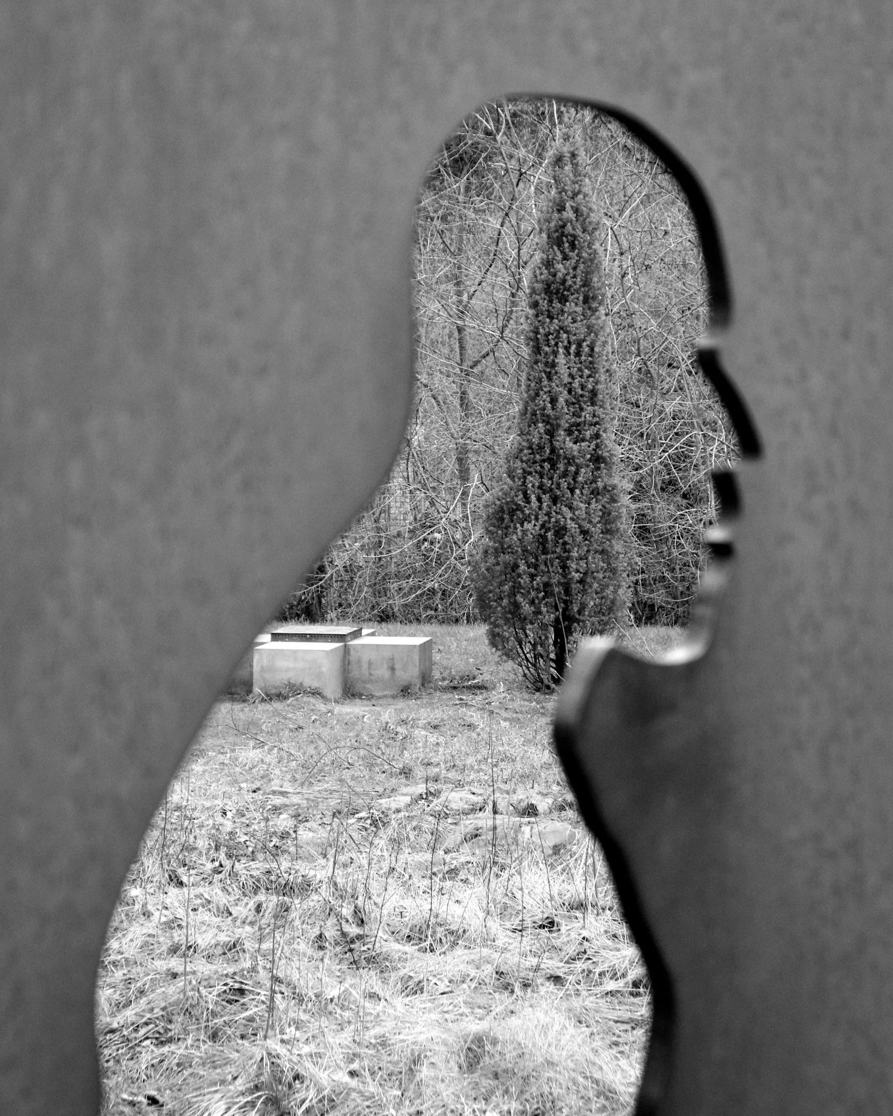 That Past Voice of God