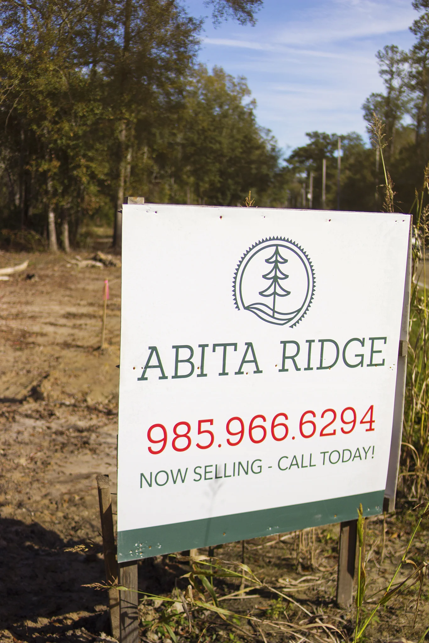 Gallery — Abita Ridge