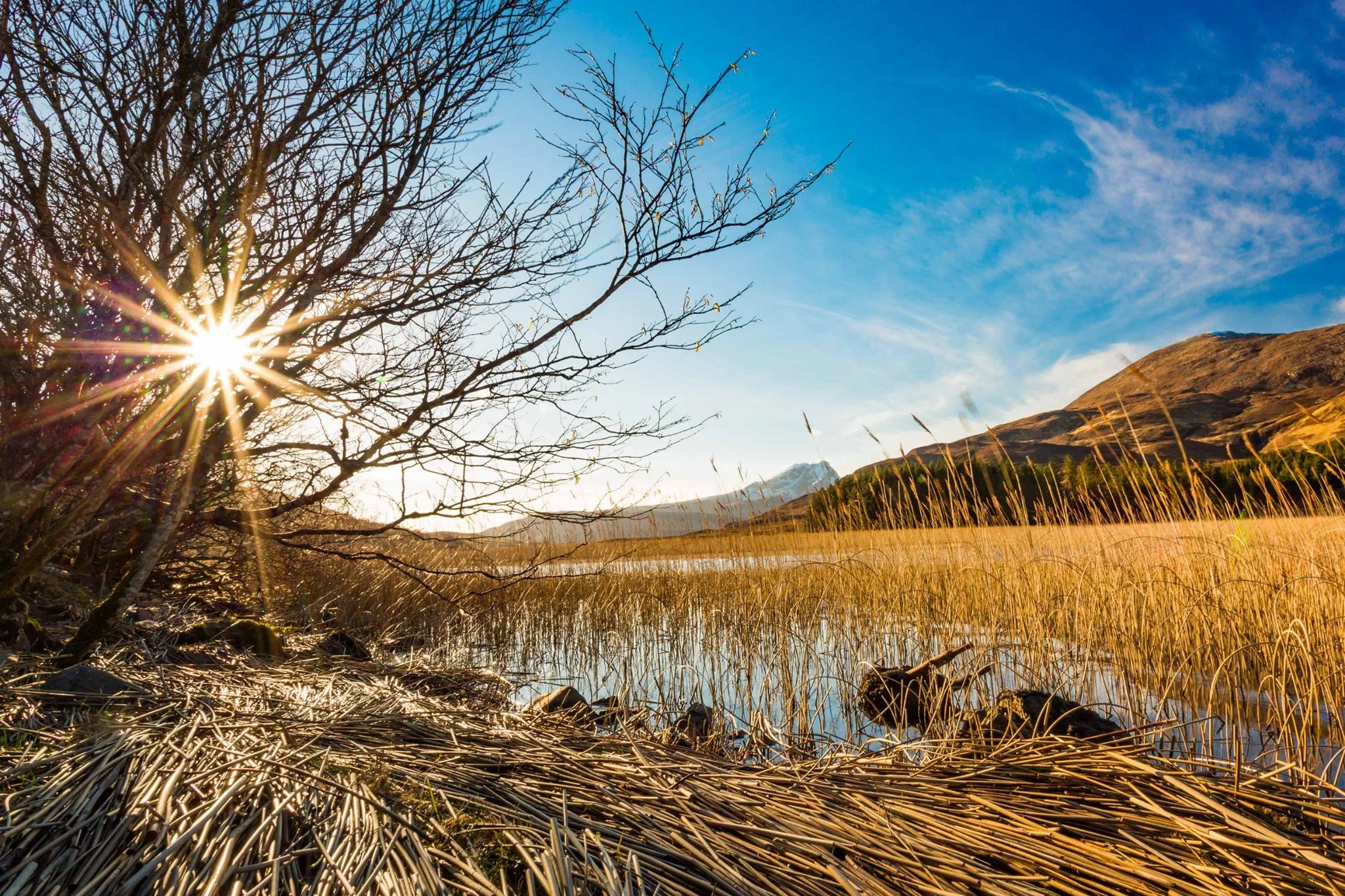 Image by Stephen Dobson