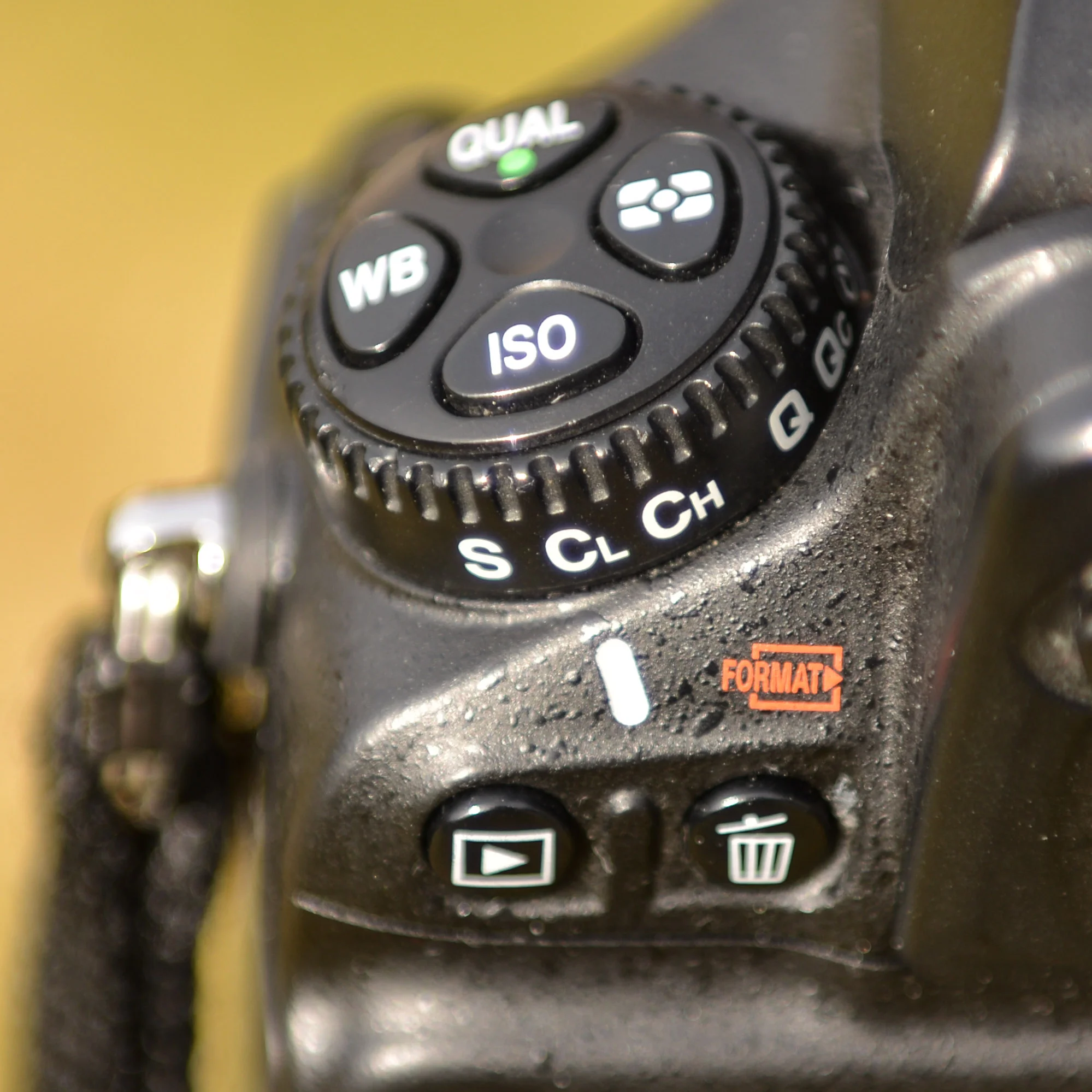 C - continuous shooting. Some cameras have options for Low and High frame rate.