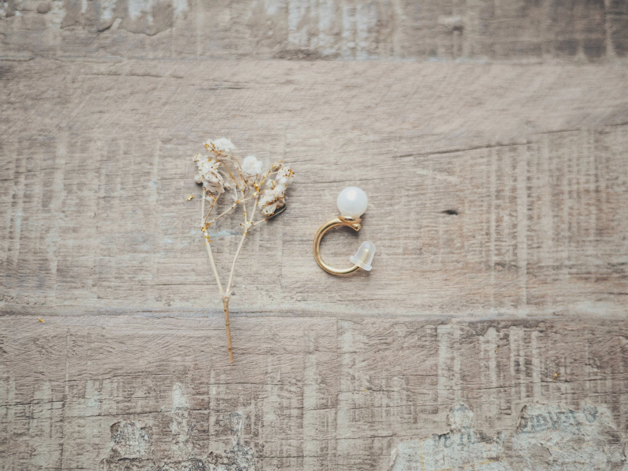 8F87F1D0-3C96-46C7-BC04-162B2F43E5F5