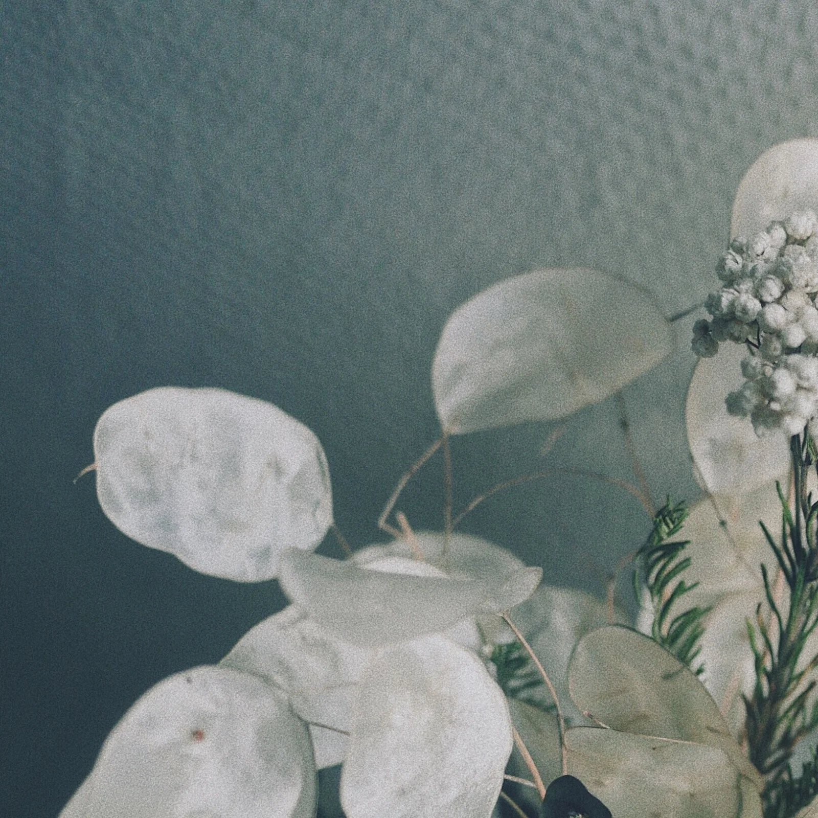 ABC083C0-6AA5-4AC6-8F00-7FAC9A801A31