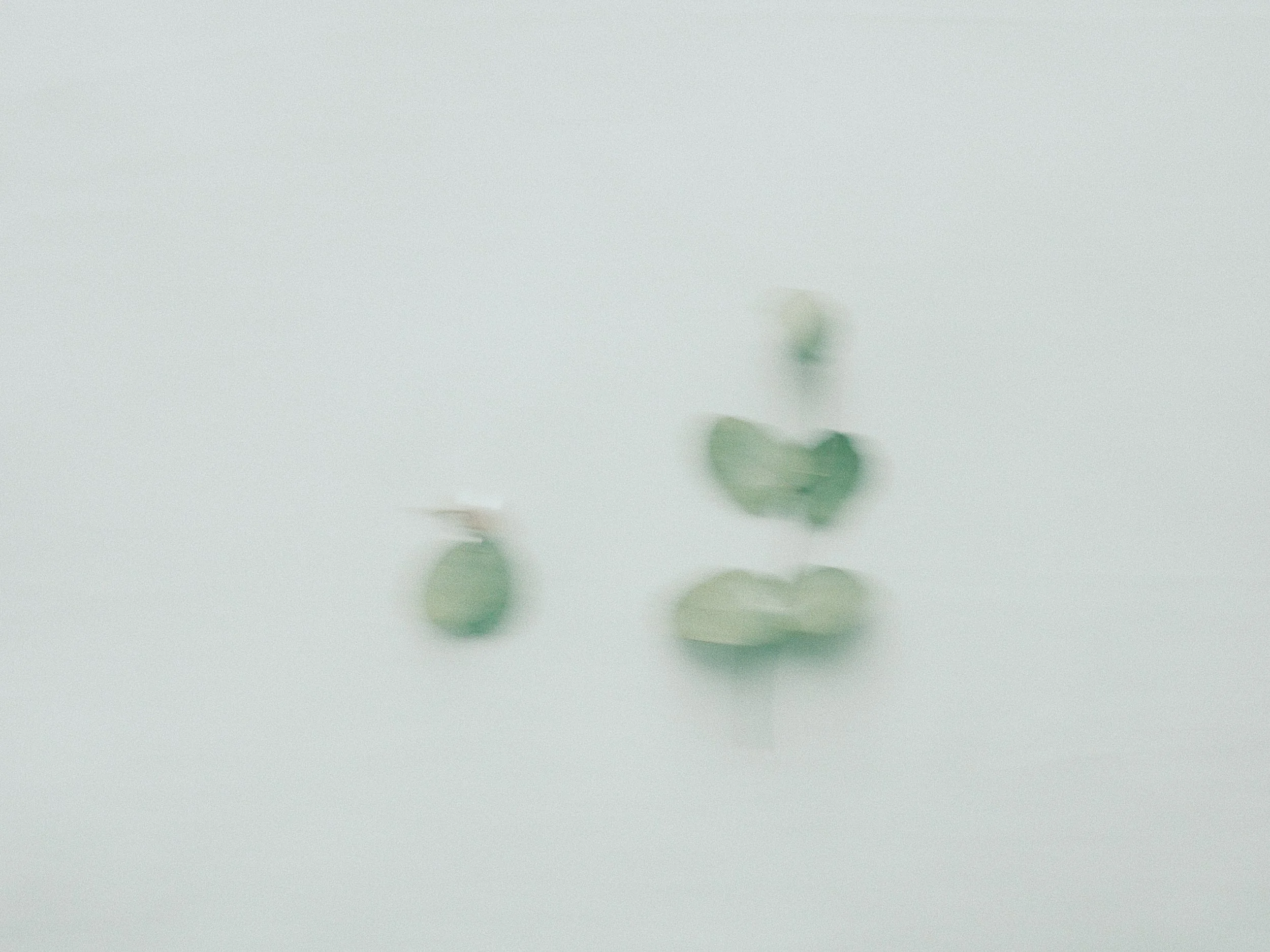 5B8A429A-B0E4-45B5-838B-C47DAF909952