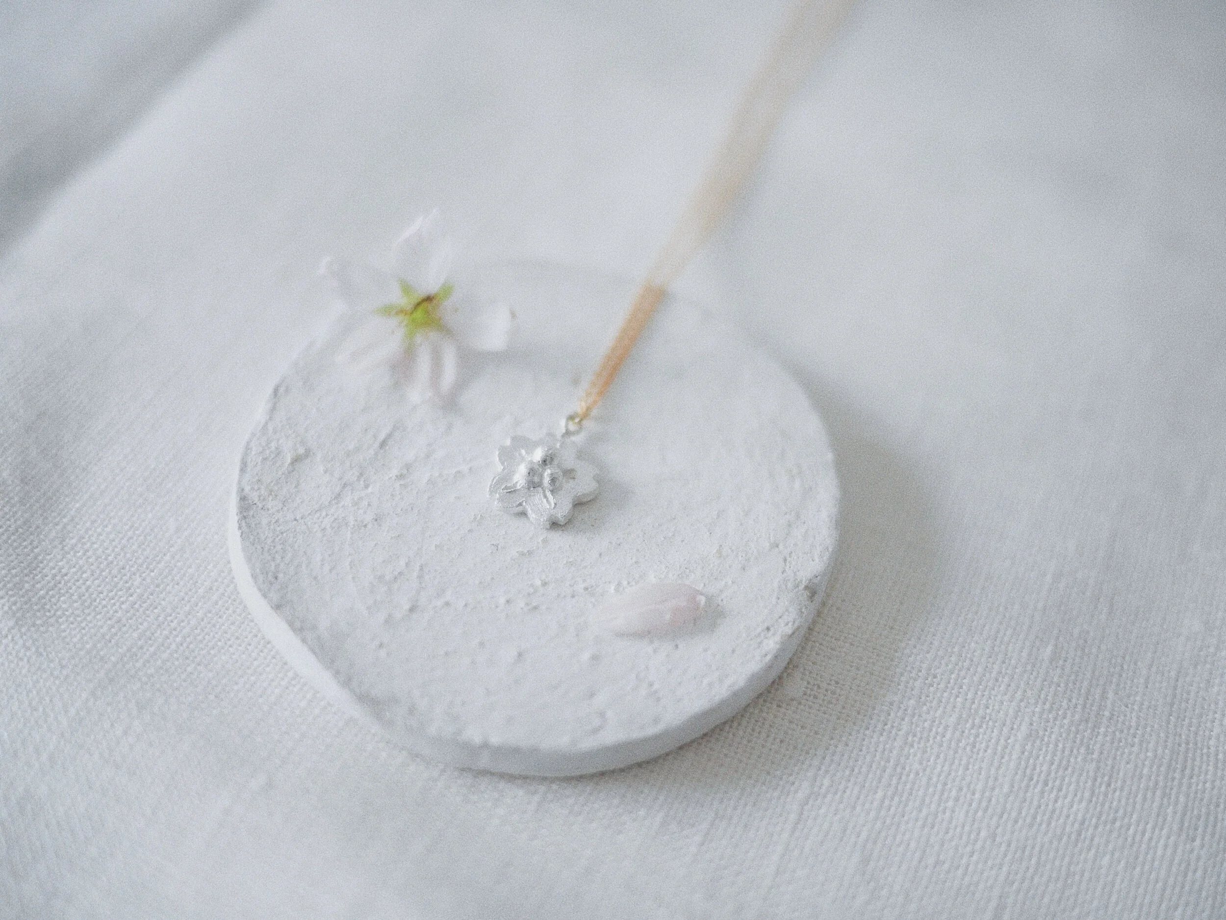 72B553FC-BC5A-4B75-9745-A5A8C8BF5333