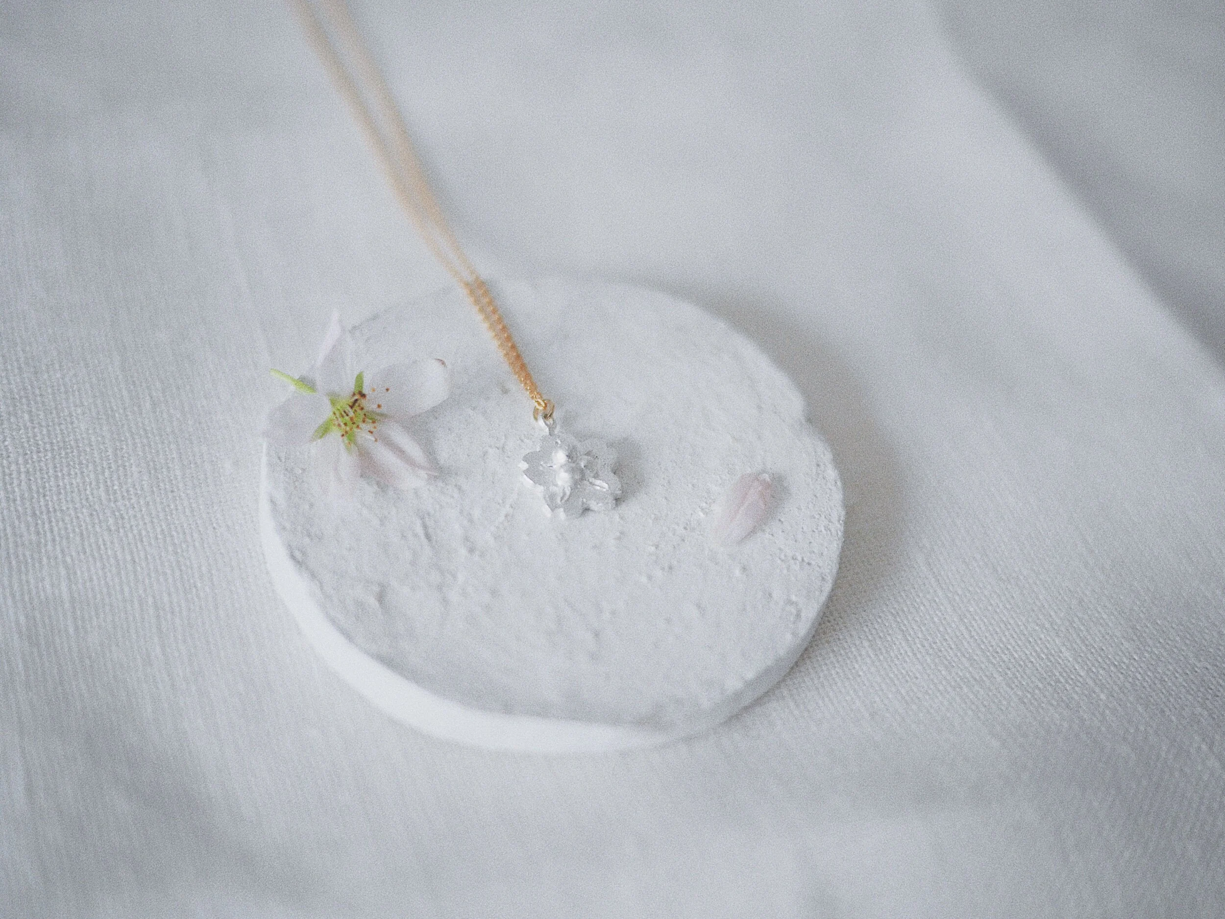 3912618F-AD1F-474D-A666-EF67AC6E6AFF