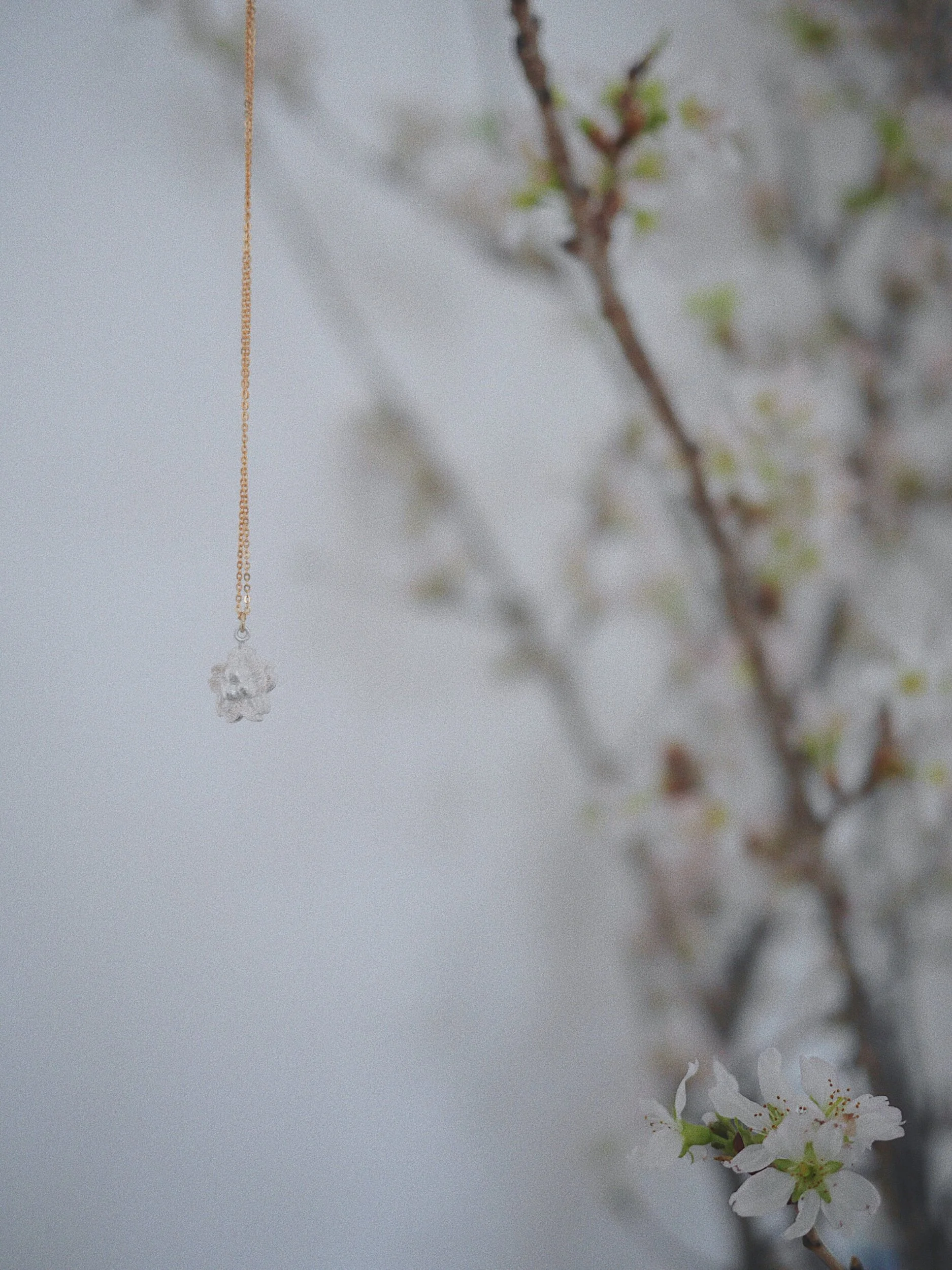 42357136-AC4F-4234-ACB0-ACF91B6ED3BC