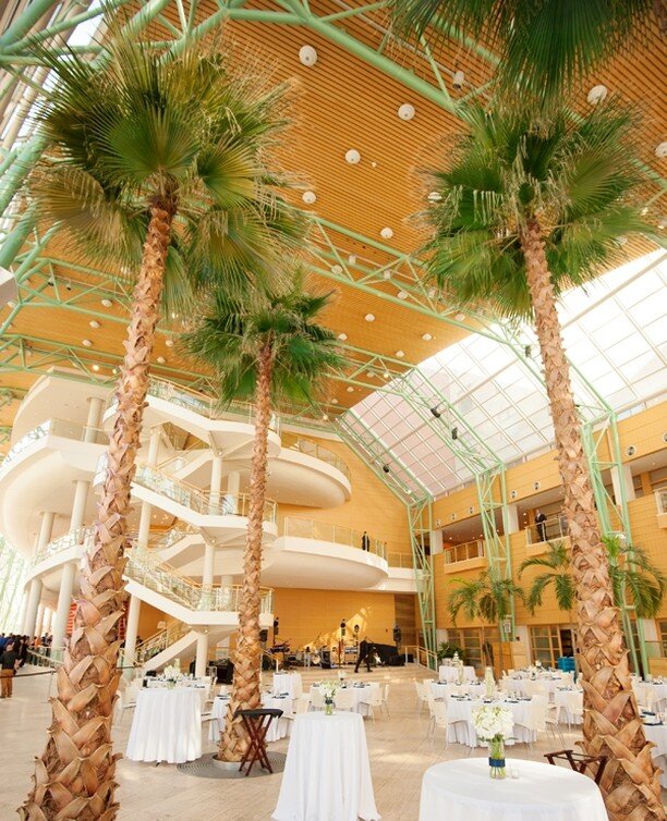 It's easy to look at the sunnyside of life when you're under palm trees. 🌴⁠
⁠
The Benjamin &amp; Marian Schuster Performing Arts Center definitely provides a totally unique backdrop for events.⁠
⁠
You can learn more about booking at Events@DaytonEve