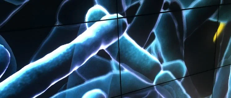 Bacteria, Bones and your Microbiota