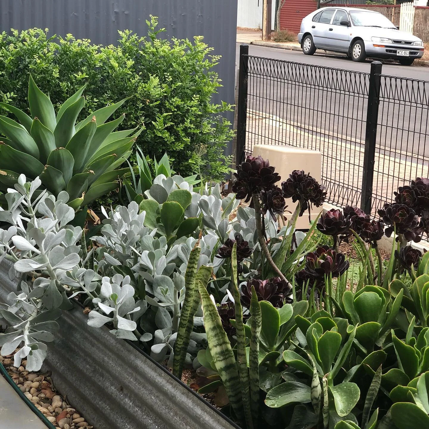 Home is where the pretty garden is :) #garden #gardening