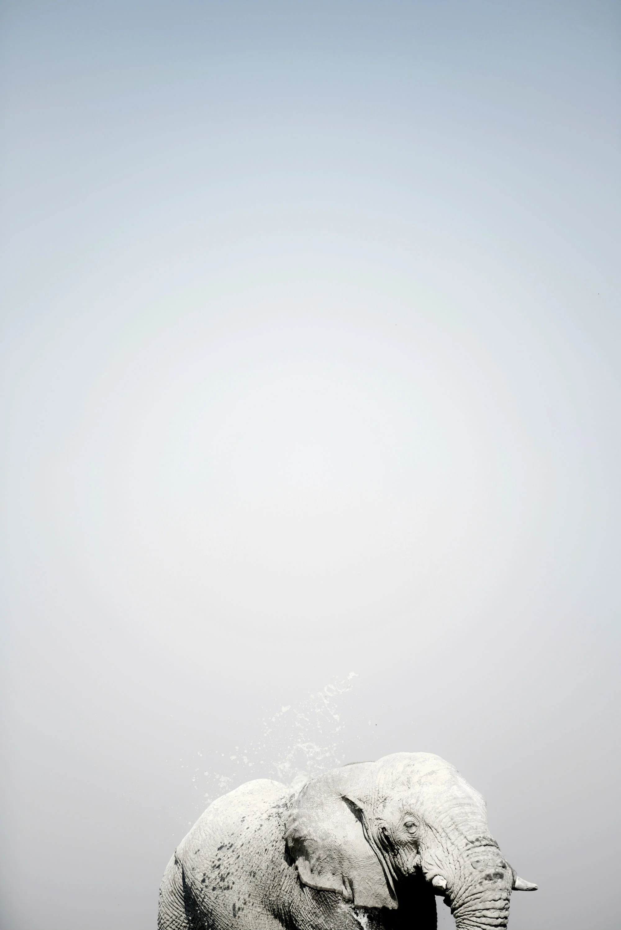 Arise Now_2000x2996.jpg