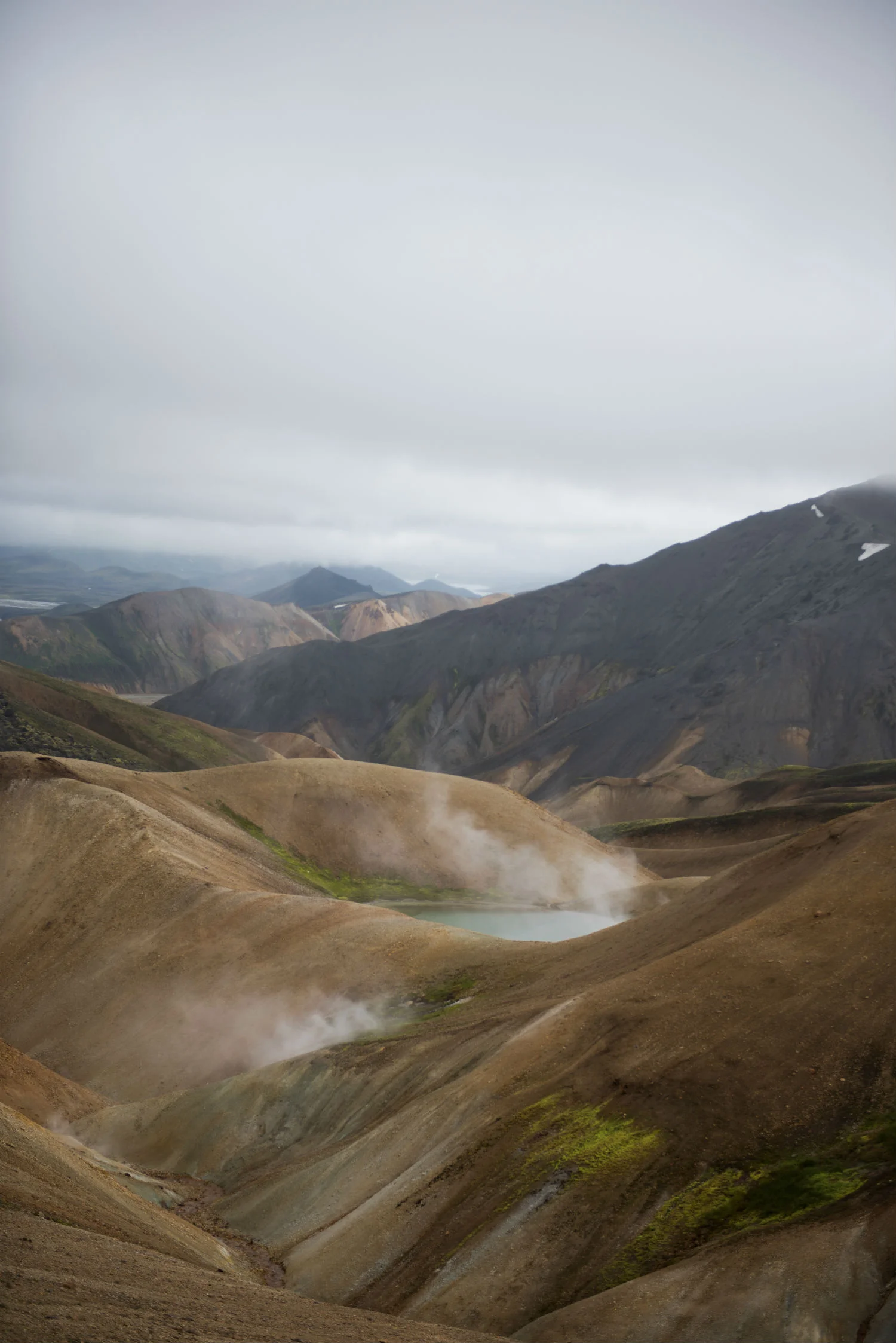 disaturated (820 of 1067).jpg