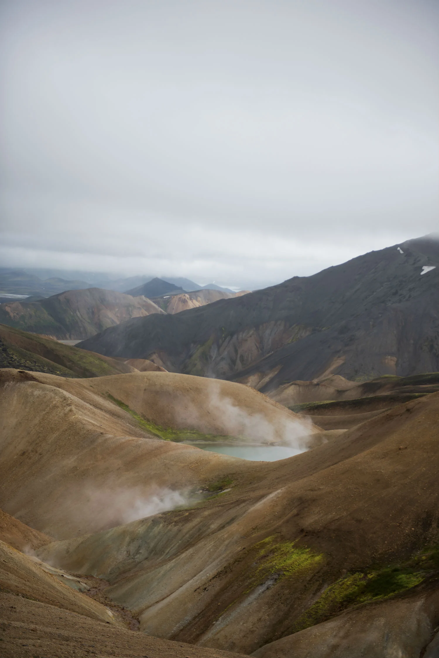 DSC_5235.jpg