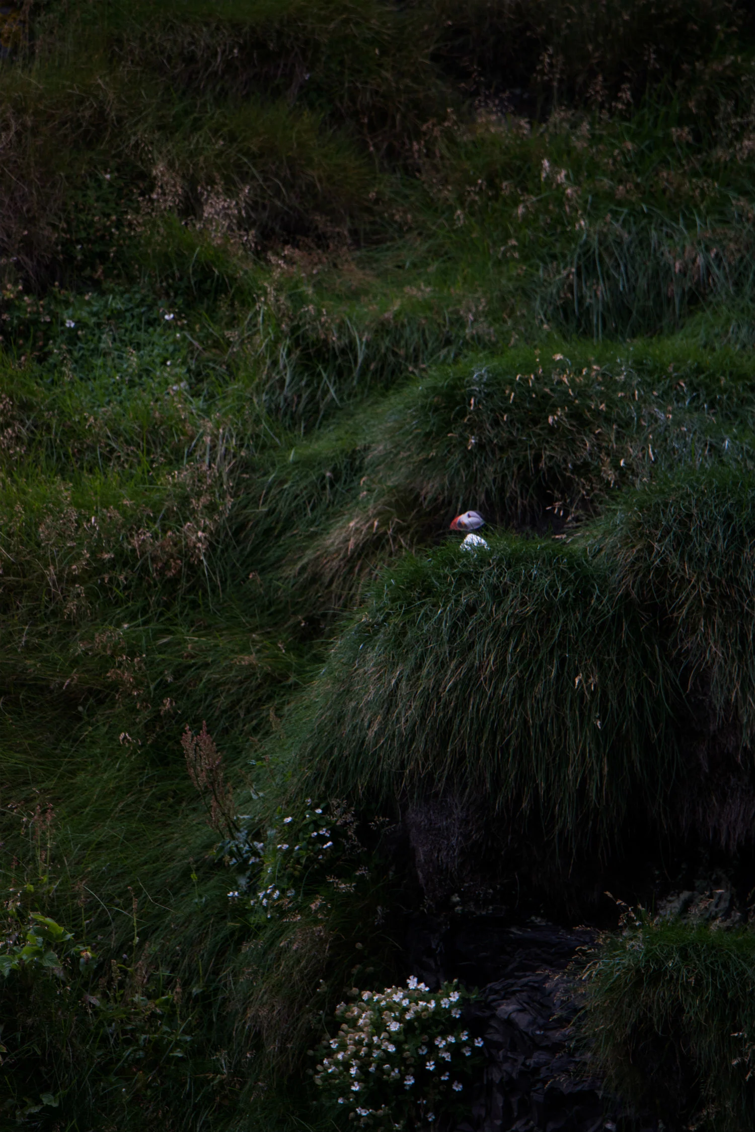 DSC_5744.jpg