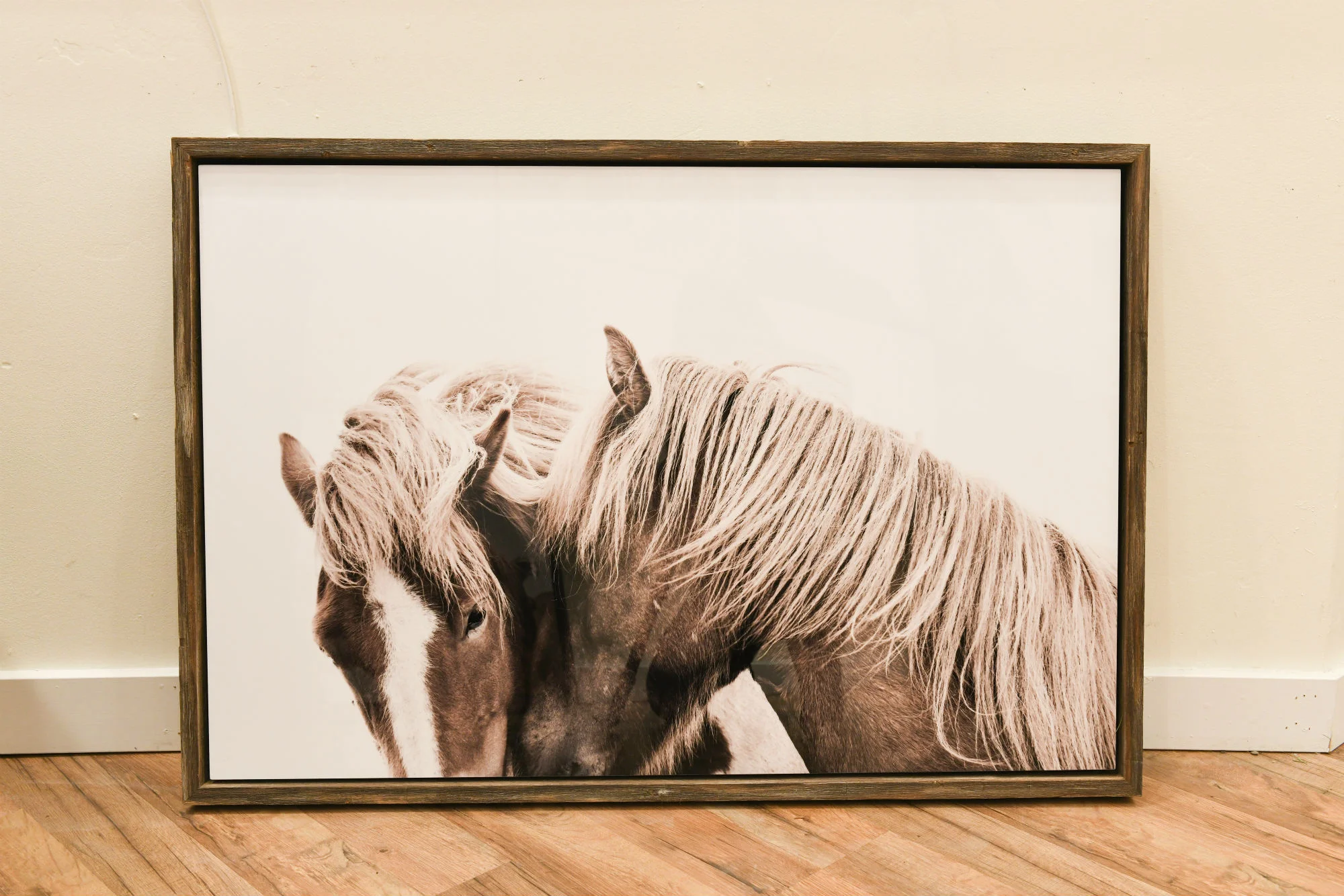 metal print with float frame