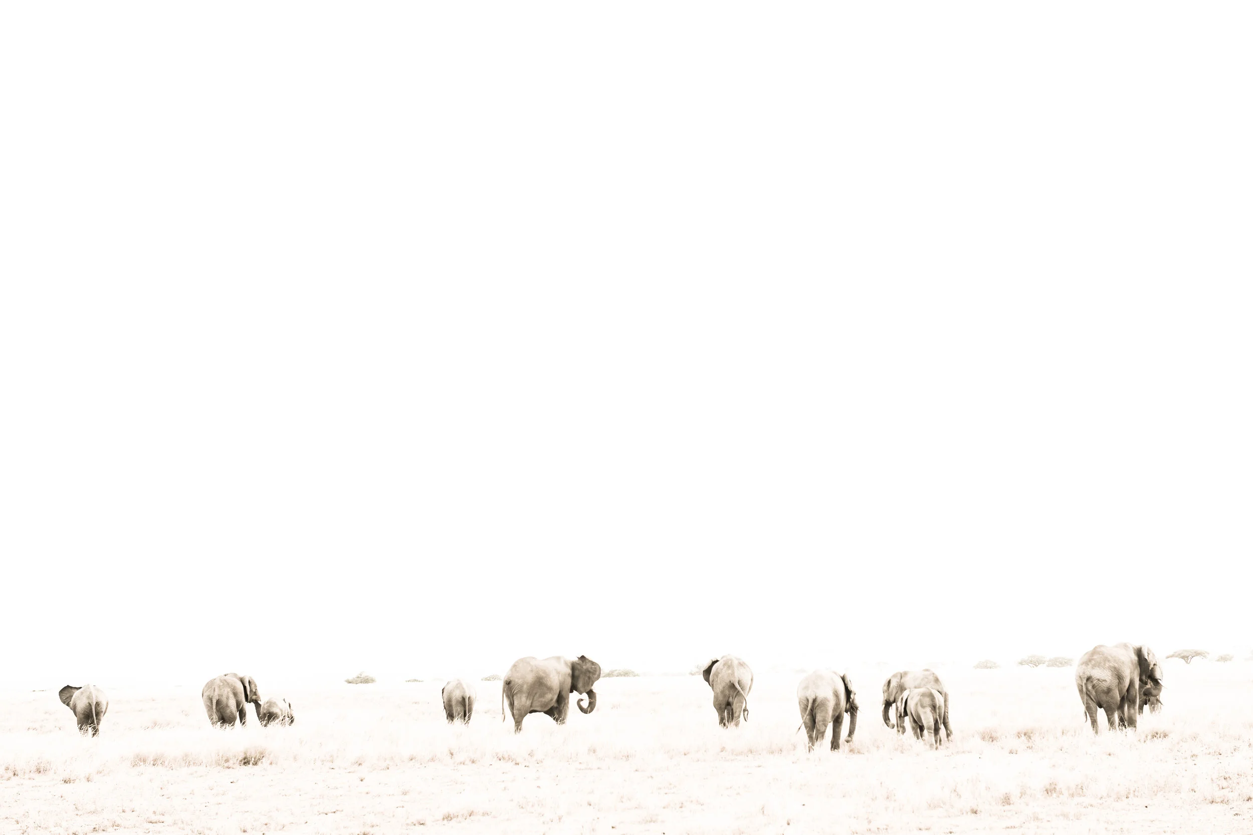 DSC_1015-2.jpg