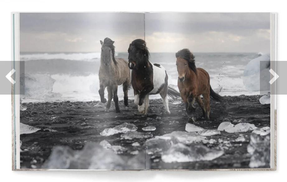 book pages 14.jpg
