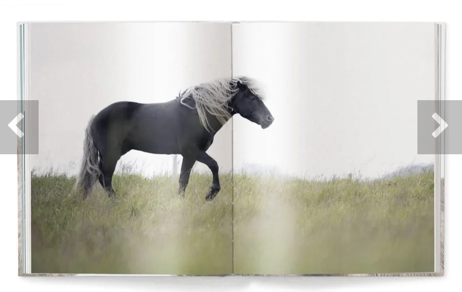 book pages11.jpg