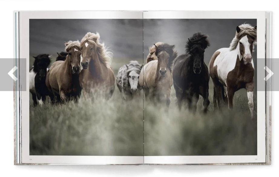 Book pages 10.jpg