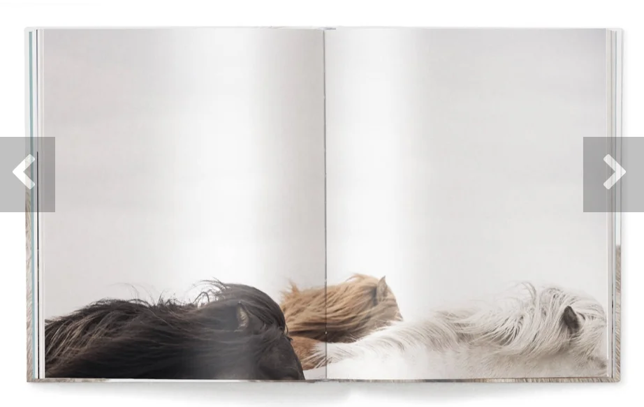 book pages5.jpg