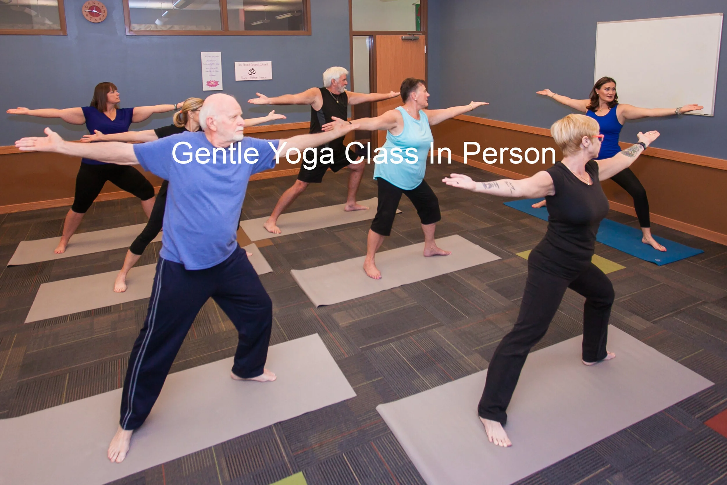 On Demand Yoga Class Library — Daytona Yoga With Krista