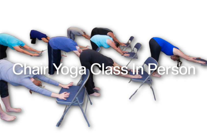 Live Online Yoga Class or In Person Yoga Class Calendar — Daytona Yoga