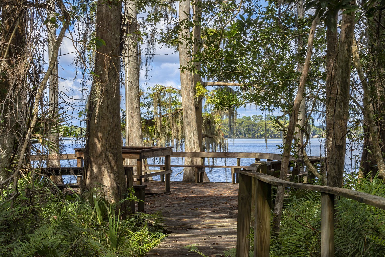 lake_dock.jpeg
