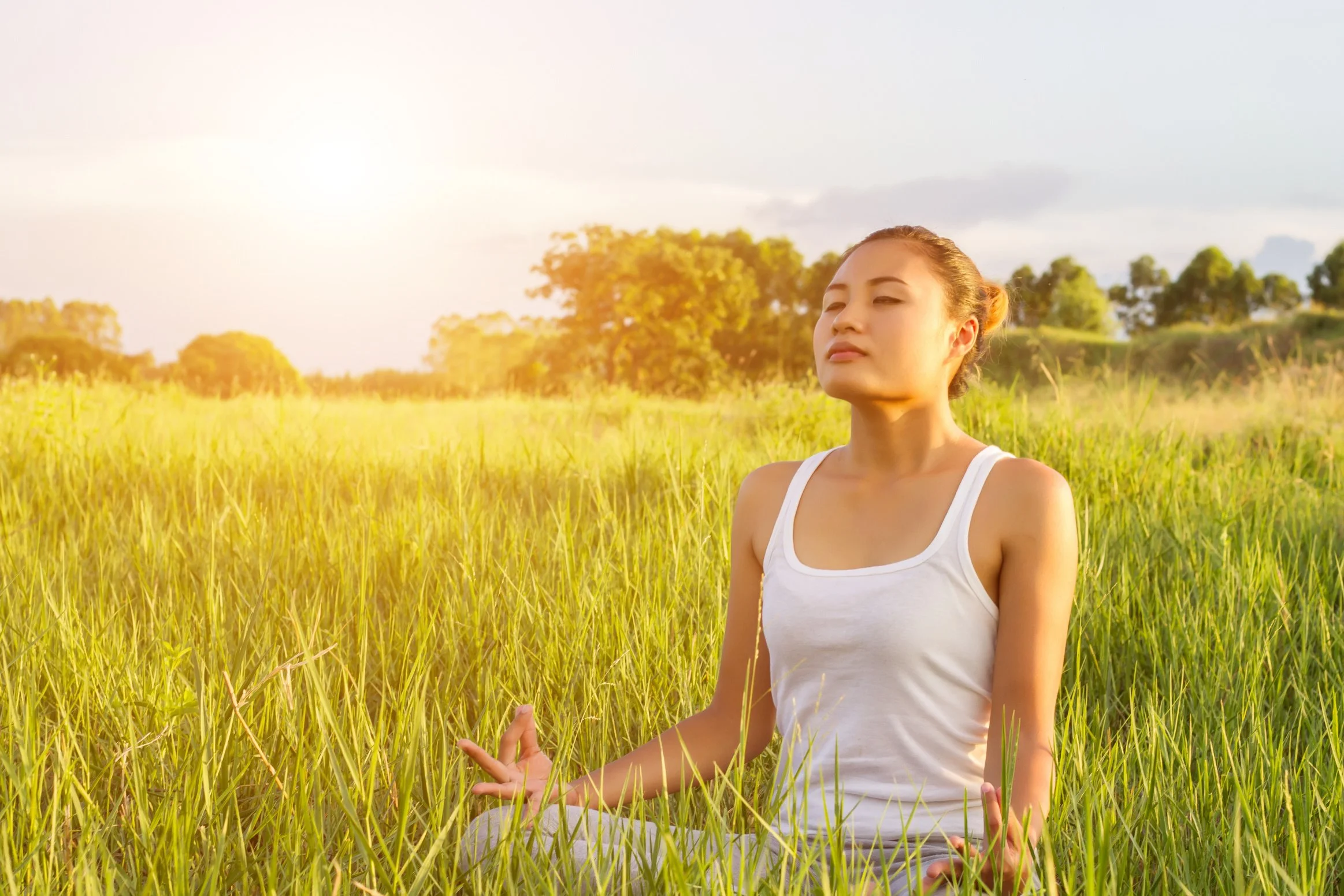 Meditation or Mindfulness? What's the difference?