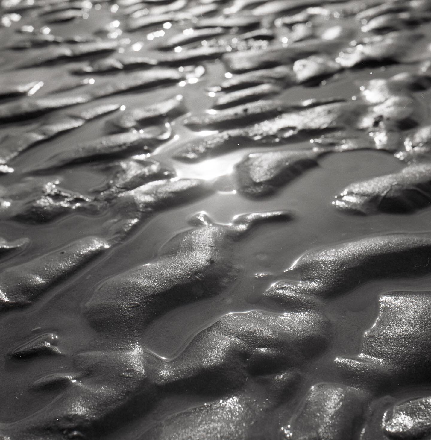 Sand. Same beach (Aberdyfi/Aberdovey #Cymru #Wales). Same day (Tuesday). Same #camera (1958 #Rolleiflex 2.8f). Having a bash with me Rollinar 2 close up lens accessory. Massively enjoyable stuff #photography #filmphotography #blackandwhitephotography