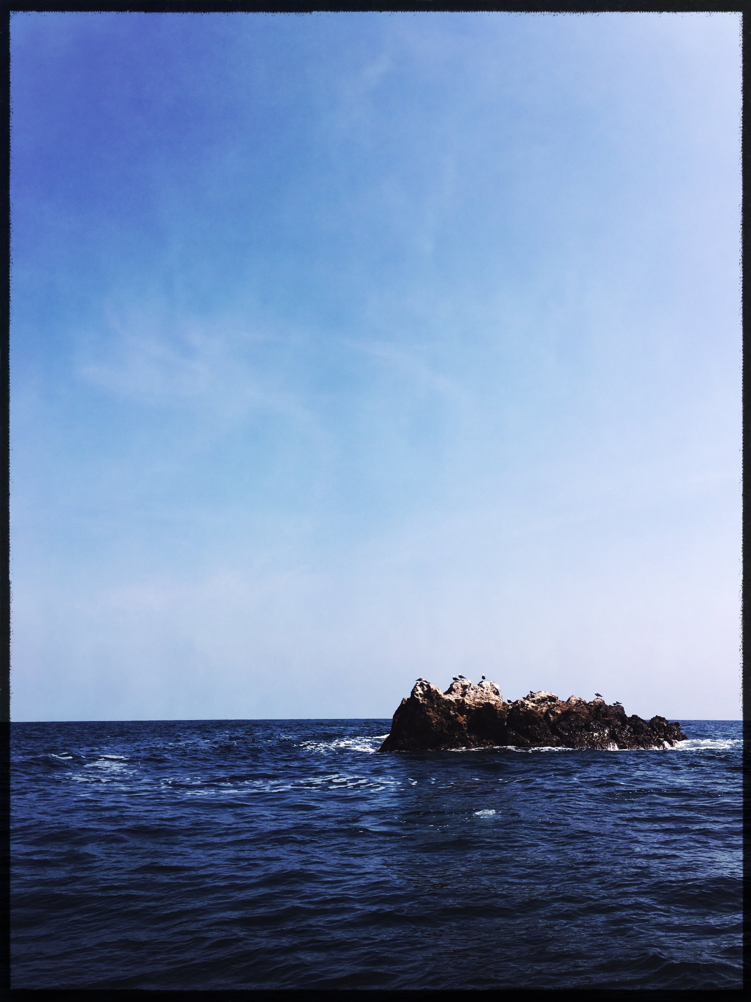 HipstamaticPhoto-549735190.831269.jpg