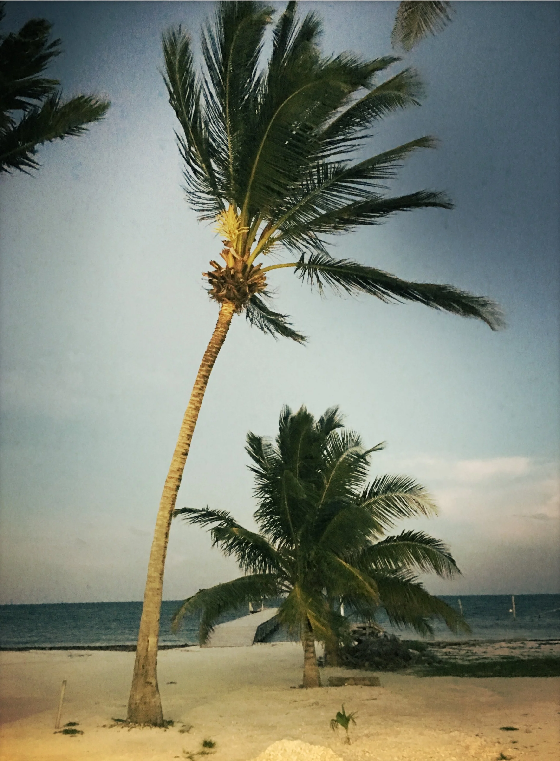 HipstamaticPhoto-524277673.188798.jpg