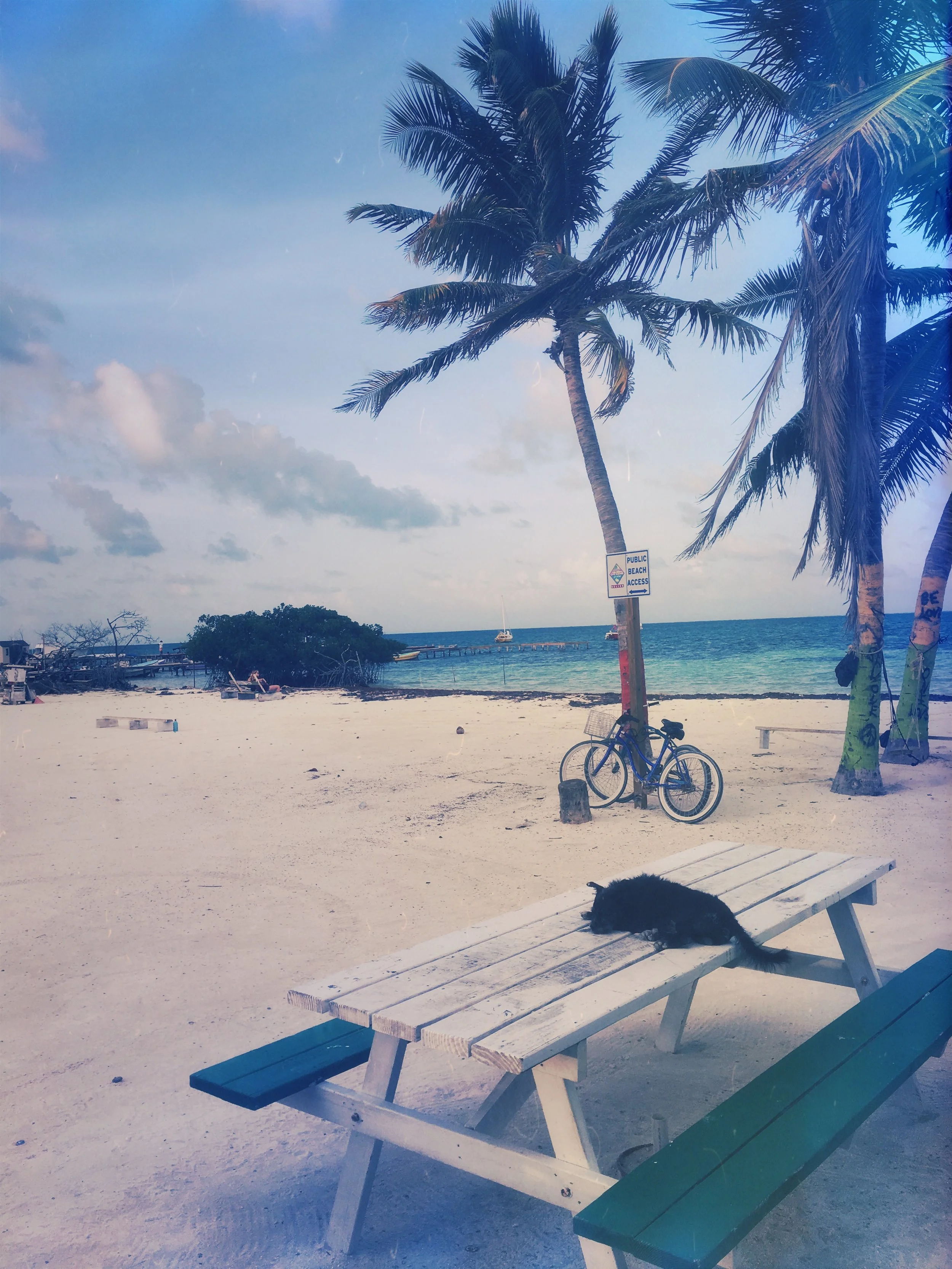 HipstamaticPhoto-524187589.623669.jpg