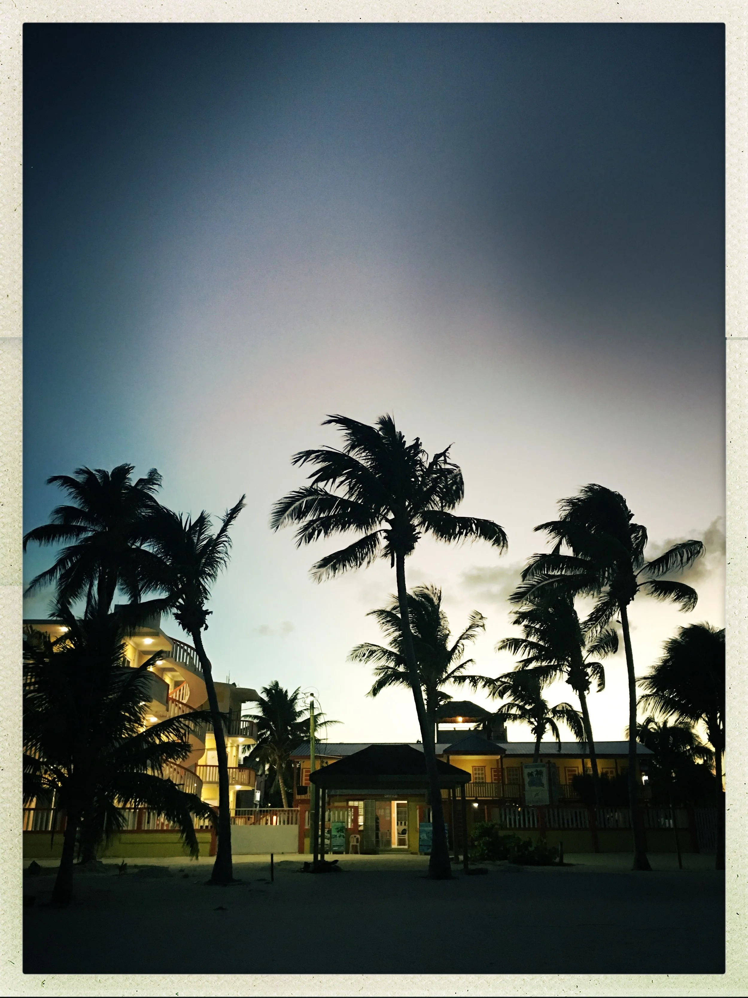 HipstamaticPhoto-524277588.044832.jpg