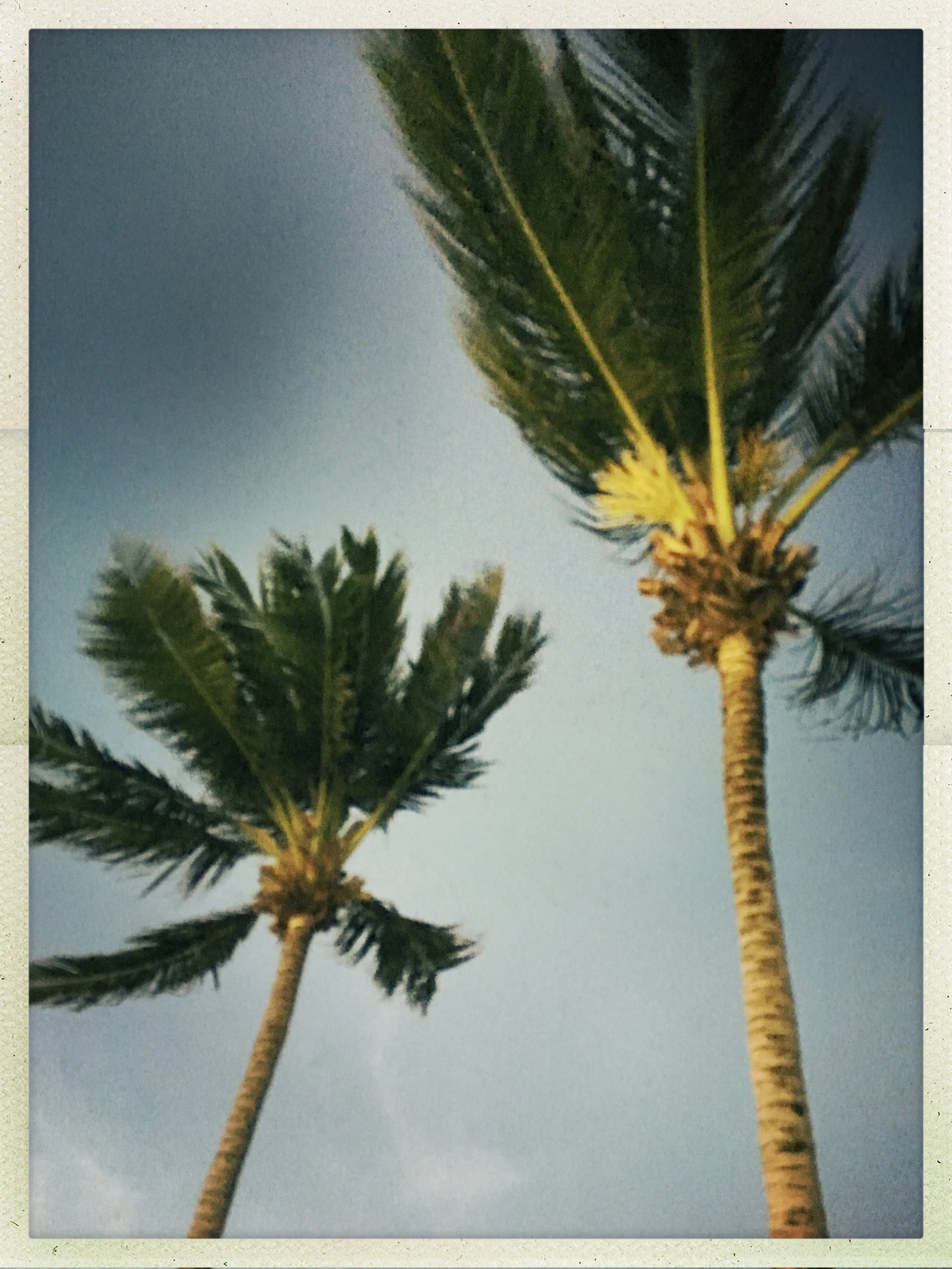 HipstamaticPhoto-524277725.403375.jpg