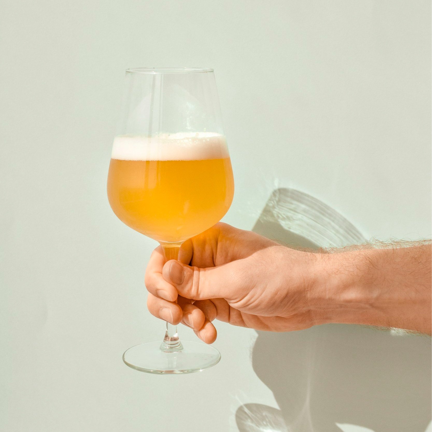 Chocolate and Beer Pairing Class at Postdoc Brewing in Kenmore