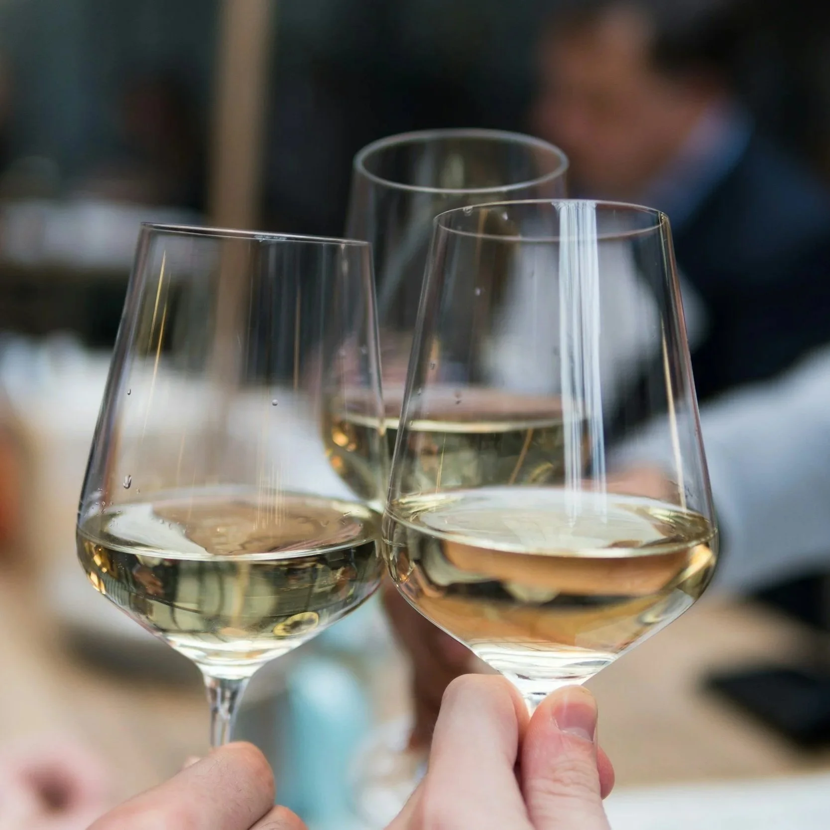 Chocolate Pop Up at Wine Outlet Seattle